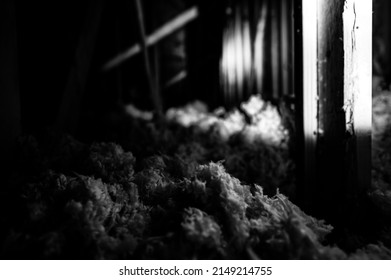 Dark Attic With Loose Blown Insulation Seen Throughout. 