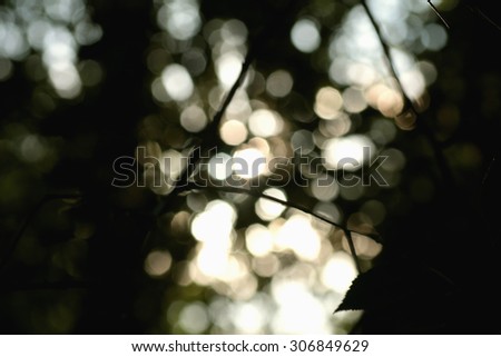 Similar – Image, Stock Photo in the morning Environment