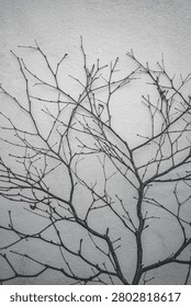 Dark Bare Tree Branches Against Textured Wall