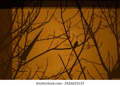 DARK bird Silhouette, on tree and Goldenhour light