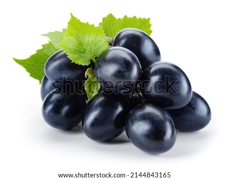 Dark blue grape isolated. Fresh black grape with leaves on white background. Clipping path. Full depth of field. Perfect not AI grape, true photo.