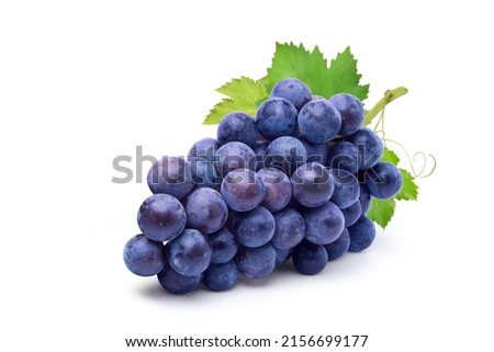 Dark blue grape isolated on white background.
