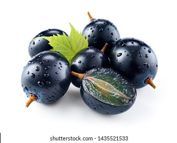 Dark blue grape with leaf. Fresh raw wet grape with drops isolated on white background. With clipping path. Full depth of field.