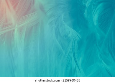 6,821 Emerald green feather Images, Stock Photos & Vectors | Shutterstock