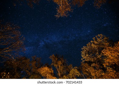 Dark blue night starry sky above the mystery autumn forest with orange and yellow trees. Long exposure photo of milky way stars in the woods. Astronomy concept and background - Shutterstock ID 702141433