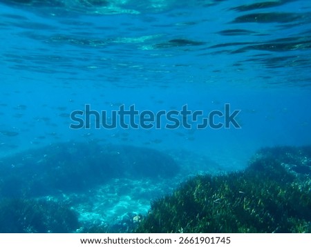 Dark blue ocean surface seen from underwater. Abstract waves underwater and rays of sunlight shining through, Sun light rays undersea deep, Underwater background with sea bottom, Mediterranean sea.