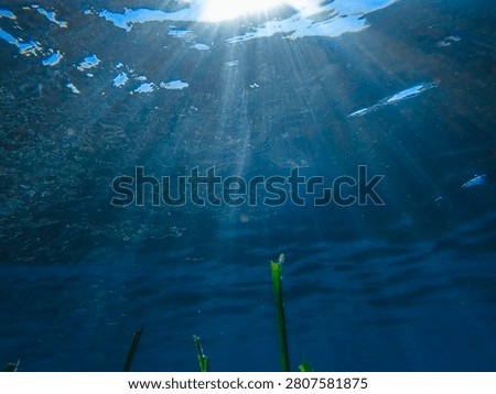 Dark blue ocean surface seen from underwater. Abstract waves underwater and rays of sunlight shining through, Sun light rays undersea deep, Underwater background with sea bottom, Mediterranean sea.