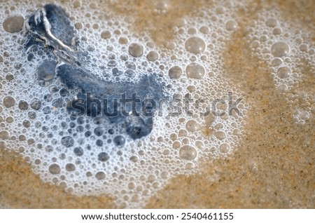 Similar – Image, Stock Photo Sandy mussels close up