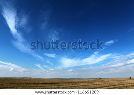 dark blue sky and yellow autumn field