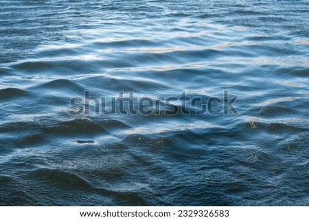 The dark blue surface of the water with waves, ripples and sun glare. Algae particles float in fresh drinking water, ecology concept, lack of drinking water and water bloom