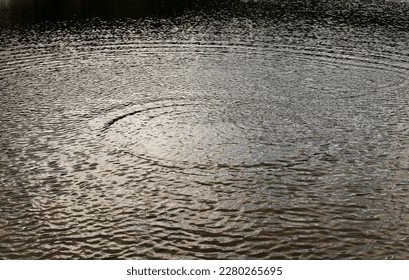 dark blue water surface with diverging circles and large ripples on a forest lake - Powered by Shutterstock