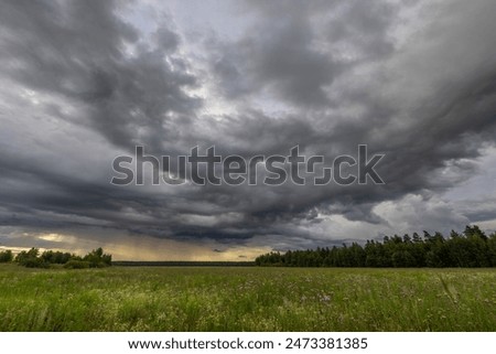 Dark, brooding clouds gather overhead, casting an ominous shadow over a field of green grass and wildflowers, a prelude to a springtime storm.