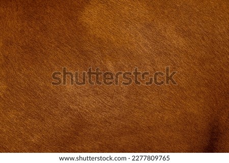 Dark brown color leather skin natural, animal haire of fur cow lether. Abstract background. Natural brown fur texture. Hight quality photo