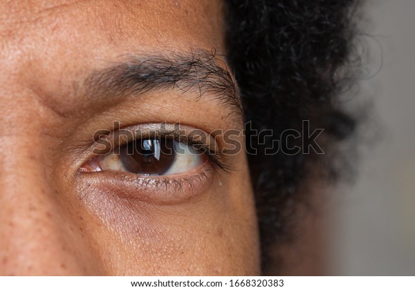 Dark Brown Eye Detail On Young Stock Photo (Edit Now) 1668320383