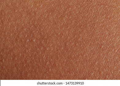 Dark brown human skin texture background macro close up view