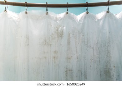Dark Brown Mildew Mold On Plastic Interior Shower Curtain In A Light Aqua Bathroom