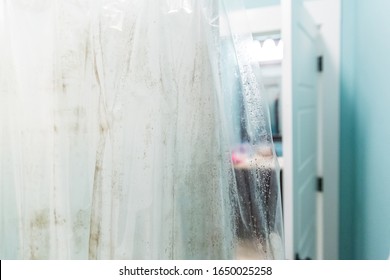 Dark Brown Mildew Mold On Plastic Interior Shower Curtain In A Light Aqua Bathroom