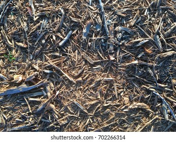 Dark Brown Mulch Background Texture Wallpaper