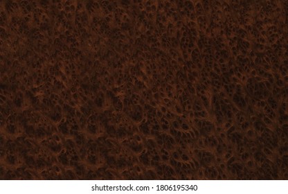 Dark Brown Rosewood Burl Wood