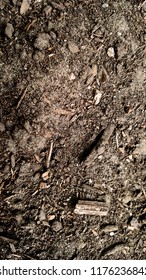 Dark Brown Soil Mulch Background