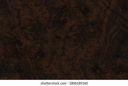 Dark Brown Walnut Burl Wood