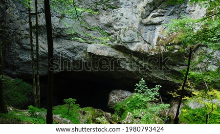 A dark cavern eroded inside a stony mountain side, deep in a beech forest. Karstic landscape in Apuseni Massif, Carpathia, Romania

