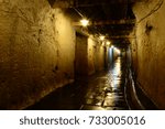 the dark cellar of the brewery