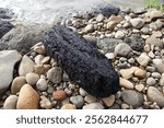 A dark, charred stone surrounded by an assortment of polished pebbles, with a glimpse of flowing water in the background