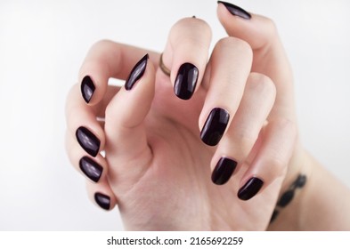 Dark Cherry Manicured Nails Isolated On White Background