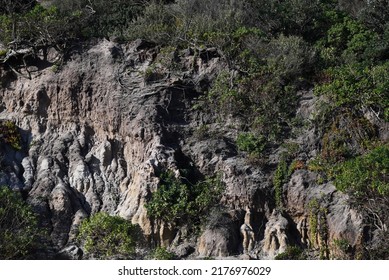 Dark Cliff Face, Bathed In Sunlight And Covered By Patches Of Vegetation