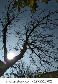 Dark Clouds Catching Up The Sun At High Noon In Winters.