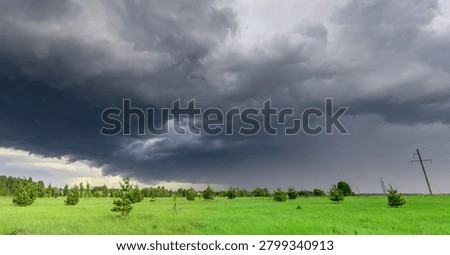 Dark clouds loom over a vast green field. Pine trees dot the horizon under heavy storm clouds. Electric pole stands silent against the approaching tempest