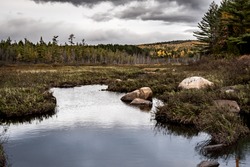 Dark Clouds Over Marsh In Northern Maine Wilderness