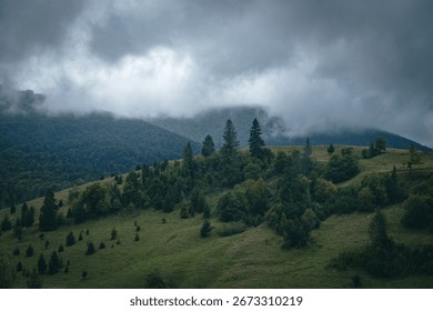A dark clouds over spruce trees forest. Mountain hills with clouds on an autumn rainy day.