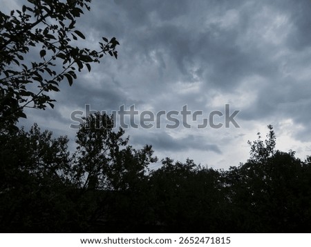 Dark clouds and trees creating a moody, dramatic sky.