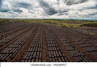 Dark Cloudy Peat Bog Field Landscape