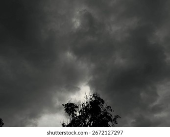 Dark cloudy sky with dramatic atmosphere and tree silhouette in the foreground.