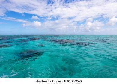 太平洋图片 库存照片和矢量图 Shutterstock