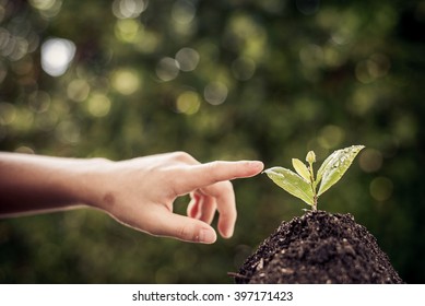 Dark color tone. Selective focus on Little seedling in black soil point by child finger. Earth day concept. - Shutterstock ID 397171423