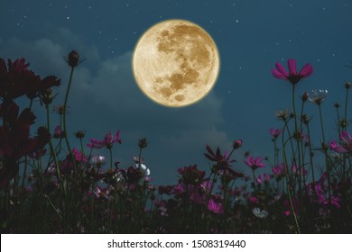 4,089 Full moon purple sky Images, Stock Photos & Vectors | Shutterstock