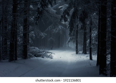 dark creepy snow cold forest