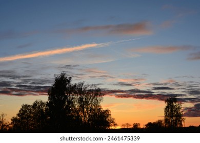 Dark dramatic sky, horizon, epic sunset, clouds, landscape with black trees