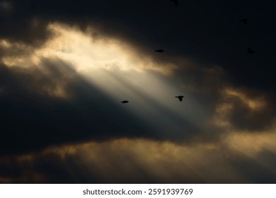 dark dramatic sky at sunset with sun rays through the clouds