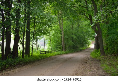 Dark empty mysterious alley (single lane rural road) through the green deciduous trees. Idyllic landscape. Natural tunnel. Bicycle, sport, nordic walking, ecotourism, environment, ecology, nature