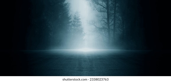 Dark empty scene, night landscape, gloomy forest, nature scene with forest and moonlight, night view of the forest, fog, smog, smoke, street asphalt floor, mystical magic theme  - Powered by Shutterstock