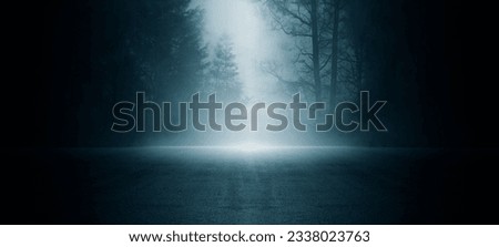 Dark empty scene, night landscape, gloomy forest, nature scene with forest and moonlight, night view of the forest, fog, smog, smoke, street asphalt floor, mystical magic theme 