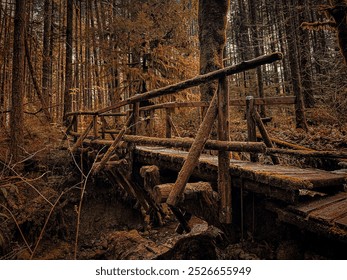 Dark fall landscape with a rust bridge