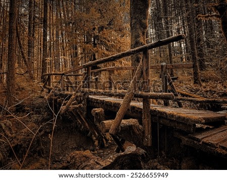 Dark fall landscape with a rust bridge