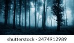 dark fantasy forest in fog, woods landscape panorama