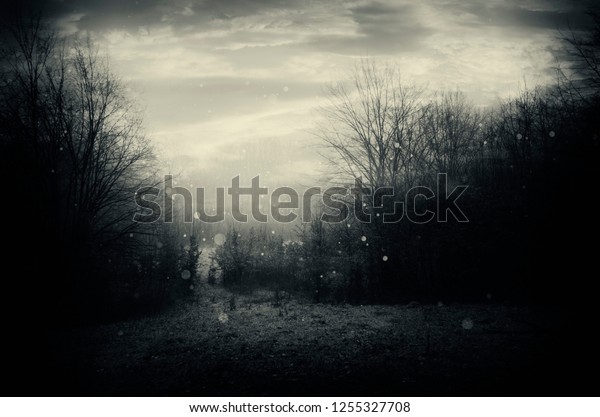 dark fantasy landscape miscellaneous stock image 1255327708 shutterstock